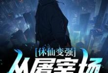 休仙变强,从屠宰场杀猪开始小说,休仙变强,从屠宰场杀猪开始苏峻沈冰叶-乐读文学