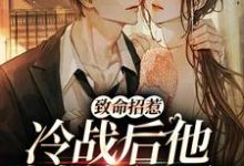 已完结小说《致命招惹:冷战后他靠撒娇求和》章节免费阅读-乐读文学