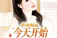 在线寻找系统崛起:今天开始,香江我说了算小说的无删减版本-乐读文学