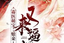 已完结小说《毒医萌宝:娘亲,父皇又来逼婚了》最新章节-乐读文学