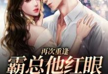 小说《再次重逢,霸总他红眼将人抵墙宠》在线章节阅读-乐读文学