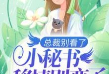 总裁别看了,小秘书移情别恋了这本小说在哪里可以看?哪里有免费试读章节?-乐读文学