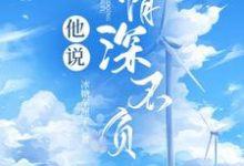 他说情深不负小说完结了吗?在哪里可以免费读到?-乐读文学