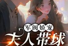 萧天琰沈涵为主角的小说好看吗?免费读军阀娇宠:夫人带球跑路了!-乐读文学