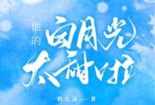 他的白月光太甜啦这本小说怎么样?免费在线阅读试试-乐读文学