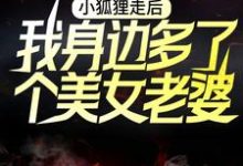 在线搜索卫青狐倾倾的完整小说,免费阅读小狐狸走后,我身边多了个美女老婆-乐读文学