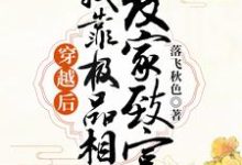 寻找能够免费阅读穿越后,我靠极品相公发家致富小说的平台-乐读文学