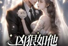 凶狠如他,却对我柔情这本小说完结了吗?免费查看最新章节-乐读文学