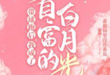 霸总歇歇吧,夫人都走三年了顾寒迟时吟小说在线章节免费阅读-乐读文学