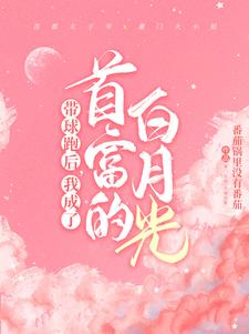 霸总歇歇吧，夫人都走三年了顾寒迟时吟小说在线章节免费阅读