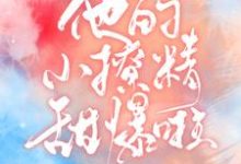他的小撩精甜爆啦小说阅读,他的小撩精甜爆啦完结版-乐读文学