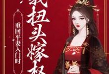 求推荐可以免费阅读重回平妻入门时,我扭头嫁权王小说的网站-乐读文学