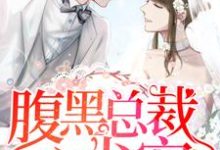 已完结小说《腹黑总裁心尖宠》最新章节-乐读文学