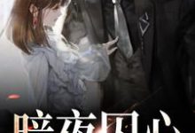 暗夜囚心这本小说在哪里可以看?哪里有免费试读章节?-乐读文学