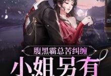 想读陆慎司沈漾的故事,哪里可以免费找到腹黑霸总苦纠缠,小姐另有心上人?-乐读文学
