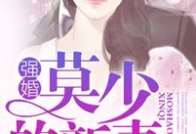 强婚:莫少的新妻沈南乔莫北丞在线章节免费阅读-乐读文学