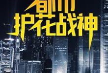 都市护花战神小说,都市护花战神叶真林清音-乐读文学