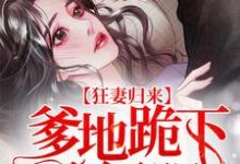 完结版《狂妻归来:爹地跪下唱征服》在线免费阅读-乐读文学
