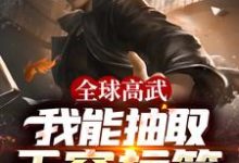 小说《全球高武:我能抽取无穷标签》章节阅读-乐读文学