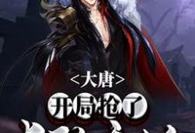李烨长孙无垢李世民李秀宁为主角的小说大唐:开局抢了长孙无垢在线阅读-乐读文学