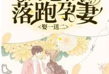 娶一送二,厉总的落跑孕妻温妤厉霆深李心颖,娶一送二,厉总的落跑孕妻小说免费阅读-乐读文学
