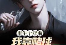 小说《重生十年前,我靠赌球成富豪》章节免费阅读-乐读文学