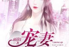 宠妻要离婚小说有没有完结版在线?-乐读文学