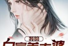 已完结小说《我的白富美老婆》章节在线阅读-乐读文学