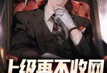 完结版《上级再不收网,我就成老大了》章节阅读-乐读文学