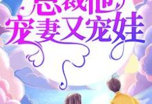 婚途漫漫:总裁他宠妻又宠娃主角 安以甜陆北宸小说完结版章节在线阅读-乐读文学