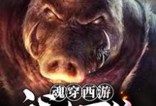 主人公卞庄小说魂穿西游:我有万倍暴击系统在线章节阅读-乐读文学