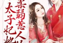 免费看甜蜜宠爱:太子妃她柔弱惹人怜小说的网站有哪些?-乐读文学