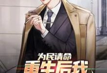 主人公叶正刚许晓情小说为民请命,重生后我走上官场巅峰在线章节阅读-乐读文学