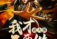 我才不要做武大郎小说的无弹窗阅读体验,寻找免费阅读网站-乐读文学