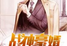 战神豪婿林轩秦婉儿林小瑜姬无双小说在线章节免费阅读-乐读文学