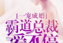 《一宠成婚:霸道总裁爱不停》全集免费在线阅读(乔惜萧晏城)-乐读文学