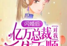 求闪婚后，亿万总裁对我千依百顺小说的全文免费阅读链接-乐读文学