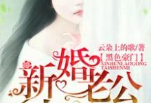 颜书理商君翊为主角的小说好看吗?免费读新婚老公太神秘-乐读文学