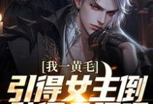 我一黄毛,引得女主倒贴很合理吧小说完结版章节免费阅读-乐读文学