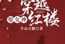 沈睿泽林黛玉为主角的小说穿越红楼娶女神在线阅读-乐读文学