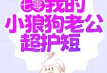 主角陆西橙霍竞川小说七零:我的小狼狗老公超护短免费阅读-乐读文学