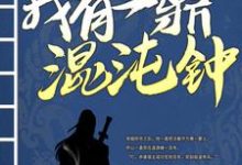 《我有一鼎混沌钟》小说主角华云飞章节章节免费在线阅读-乐读文学