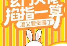 在线搜索宁问问宁木苍的完整小说,免费阅读玄门大佬掐指一算,渣父要倒霉了-乐读文学