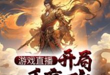 求游戏直播:开局一手嬴政,震惊祖龙小说免费资源-乐读文学