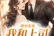 都市恋爱:我和上司he了宋谨言苏念念小说在线章节目录阅读最新章节-乐读文学