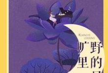 旷野里的星小说,旷野里的星最新章节-乐读文学