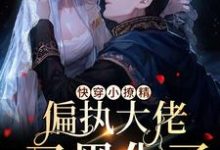 梨久为主角的小说叫什么?免费看快穿小撩精:偏执大佬又黑化了-乐读文学