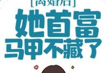 离婚后,她首富马甲不藏了免费阅读,离婚后,她首富马甲不藏了章节在线阅读-乐读文学