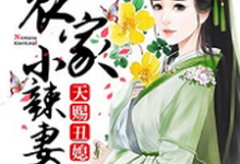 姜玉儿贺三郎库里纳闷儿小说叫什么(天赐丑媳:农家小辣妻免费阅读)-乐读文学