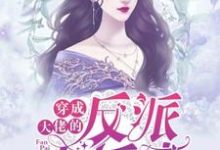 沈从容薄翊苏红果的小说在哪里看?免费在线阅读穿成大佬的反派小娇妻-乐读文学